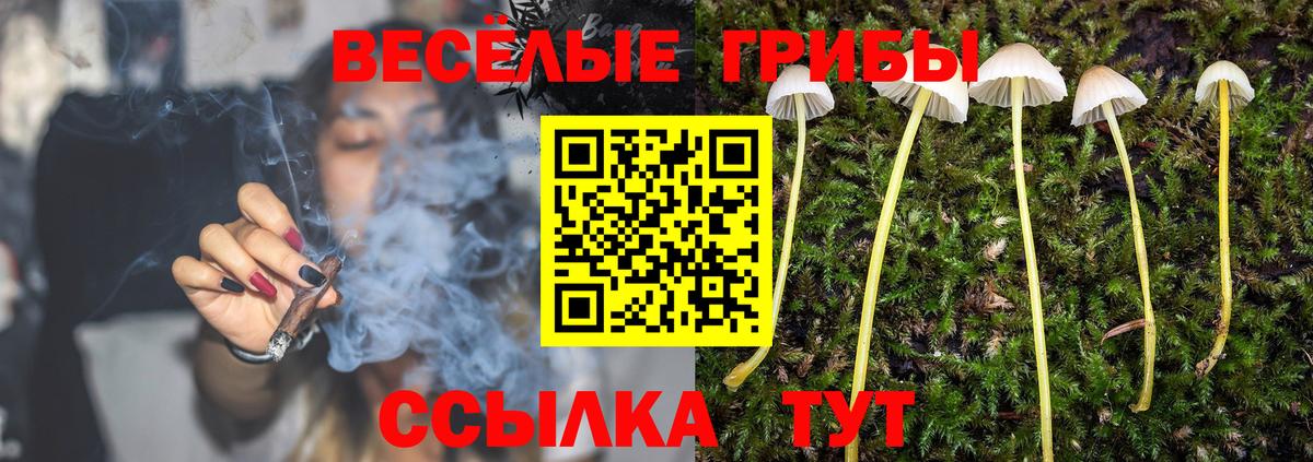 Псилоцибиновые грибы MAGIC MUSHROOMS Дмитров